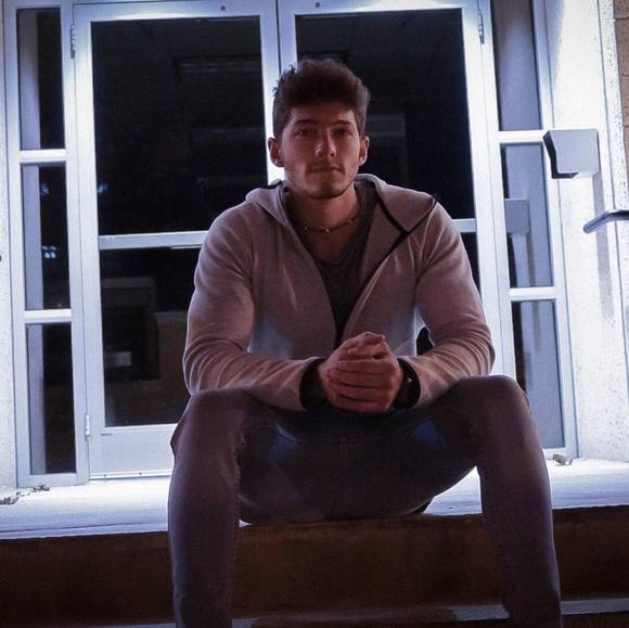 treverludick